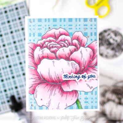 Clear Stamp, A Peony of Contrast