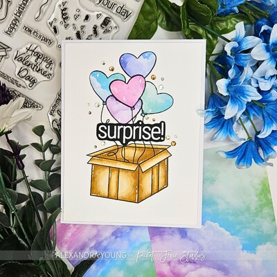 Clear Stamp, Surprise! It's Your Day - A Kelly Taylor Design