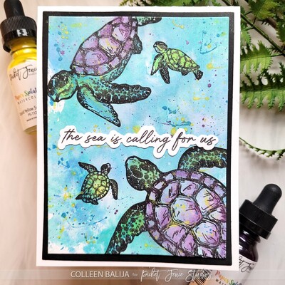 Clear Stamp, A Sea Turtle's Journey
