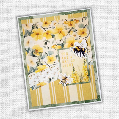 12X12 Paper Collection, Bees & Butterflies