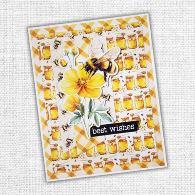 12X12 Paper Collection, Bees & Butterflies Basics