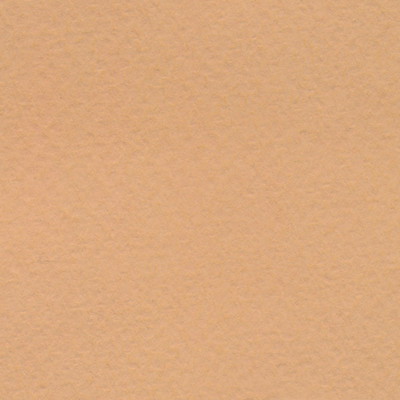 Pastel Paper Pack, Tan - 19" x 25"