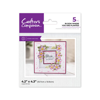 Clear Stamp & Die Combo, Floral Aperture - Bloom Where You Are Planted