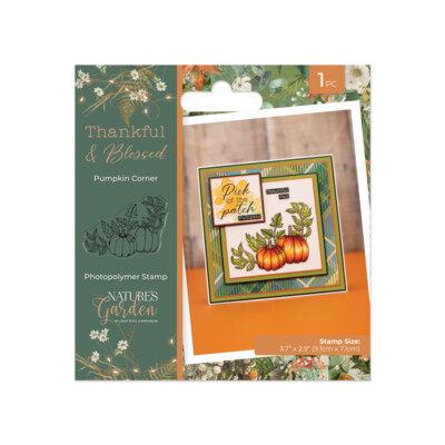 Nature's Garden Clear Stamp, Thankful & Blessed - Pumpkin Corner