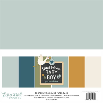 12X12 Solids Kit, Special Delivery Baby Boy