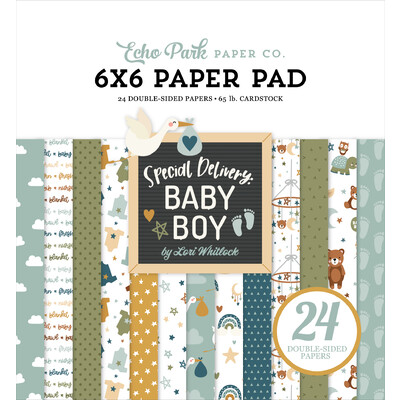 6X6 Paper Pad, Special Delivery Baby Boy