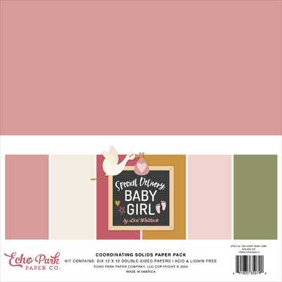 12X12 Solids Kit, Special Delivery Baby Girl