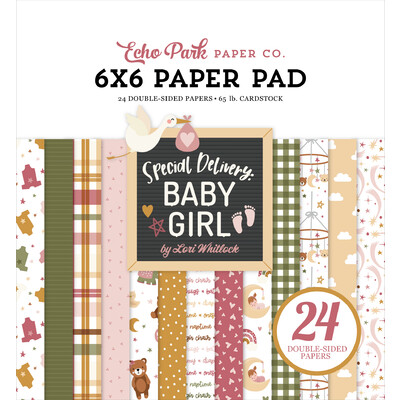6X6 Paper Pad, Special Delivery Baby Girl