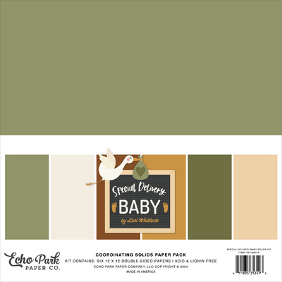 12X12 Solids Kit, Special Delivery Baby