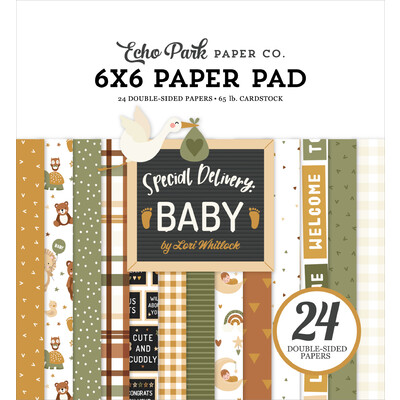 6X6 Paper Pad, Special Delivery Baby