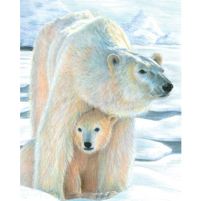 Colour Pencil By Numbers, Polar Love
