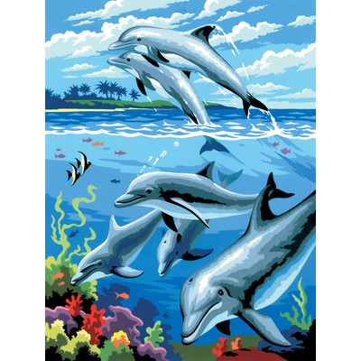 Junior Painting By Numbers, Small - Dolphins