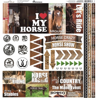 12X12 Sticker Sheet, Elements - Horseplay