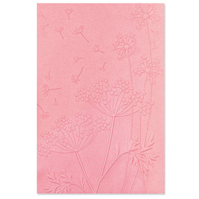 3D Textured Impressions Embossing Folder, Summer Wishes