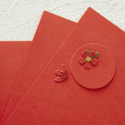 Color Essentials 8.5X11 Cardstock, Poppy Field