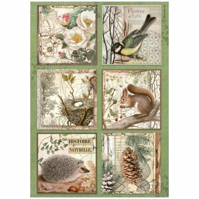 A4 Rice Paper, Forest - 6 Cards